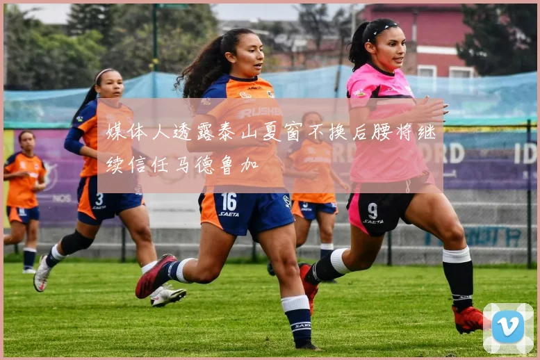 媒体人透露泰山夏窗不换后腰将继续信任马德鲁加